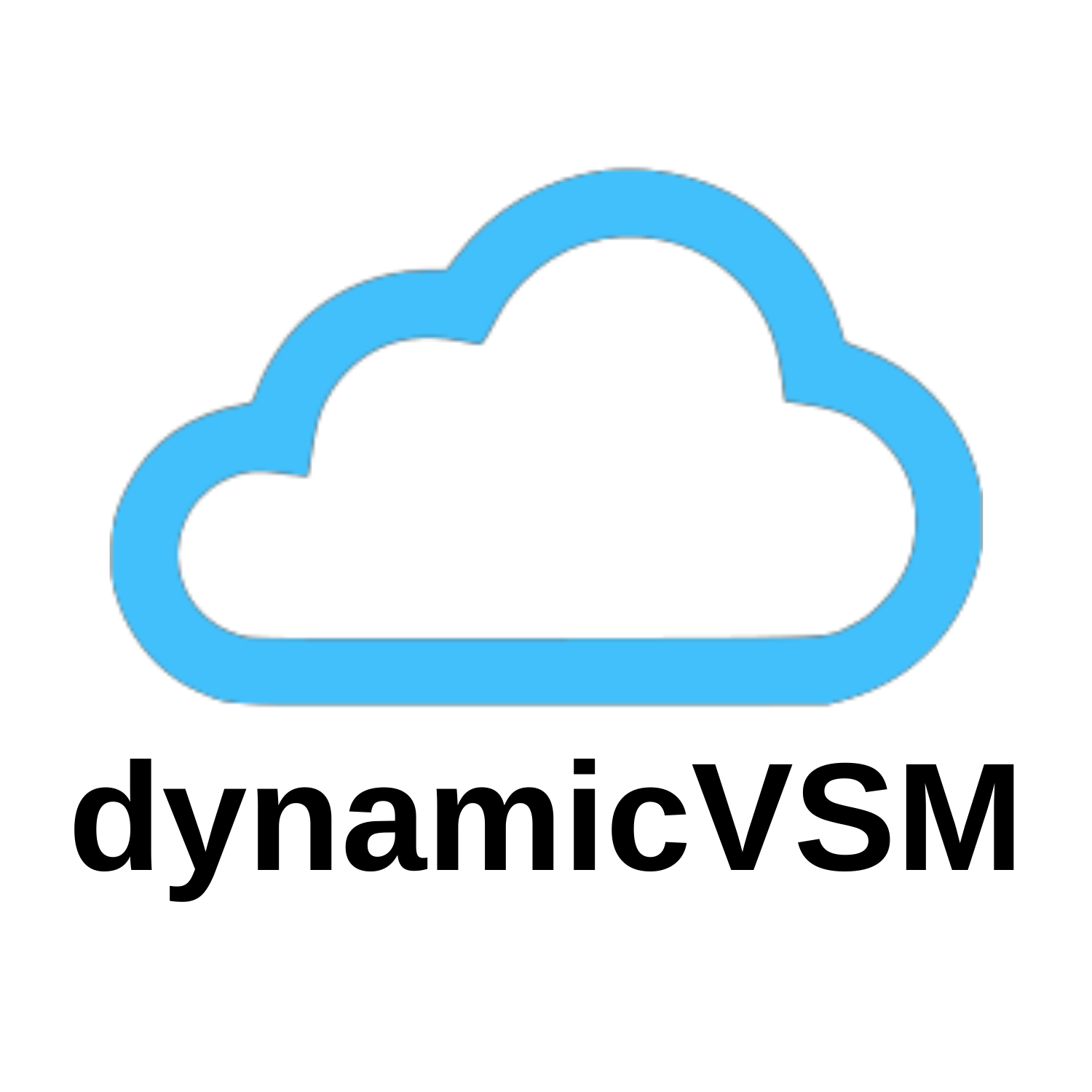 dynamicVSM